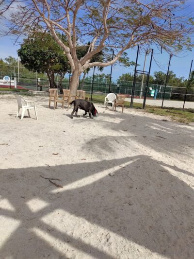 Big Pine Key Dog Park - Big Pine Key, FL