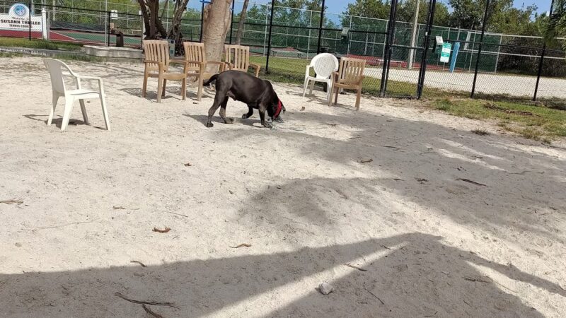 Big Pine Key Dog Park - Big Pine Key, FL