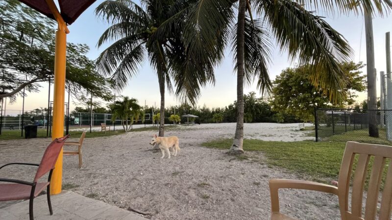 Big Pine Key Dog Park - Big Pine Key, FL