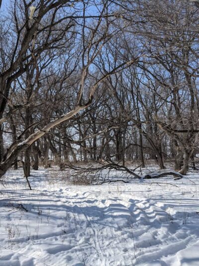 Big Stone Island Nature Area - Big Stone City, SD