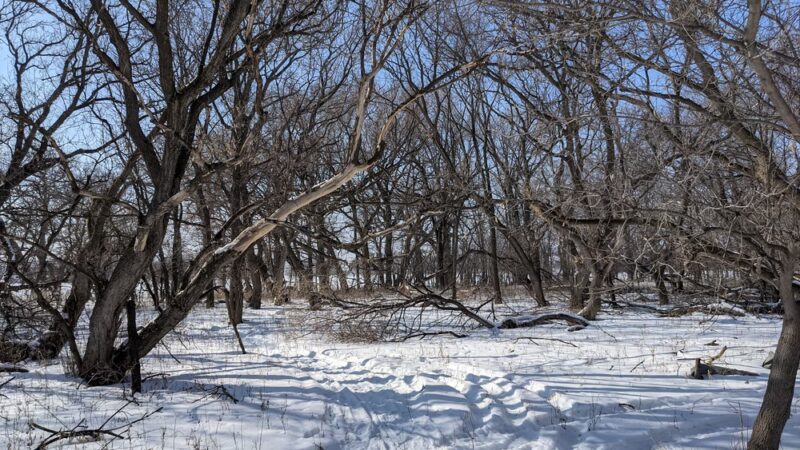 Big Stone Island Nature Area - Big Stone City, SD
