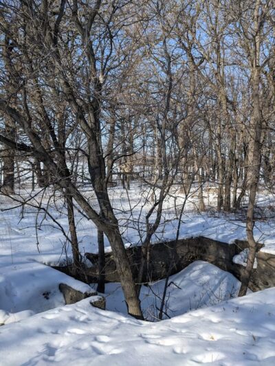 Big Stone Island Nature Area - Big Stone City, SD