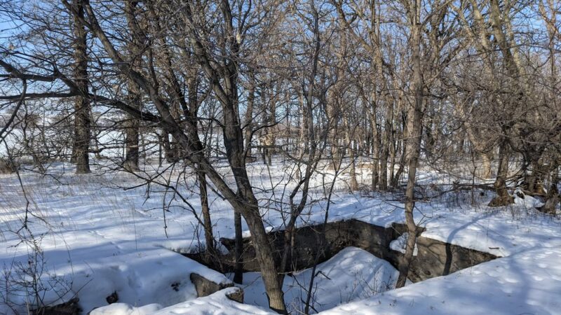 Big Stone Island Nature Area - Big Stone City, SD
