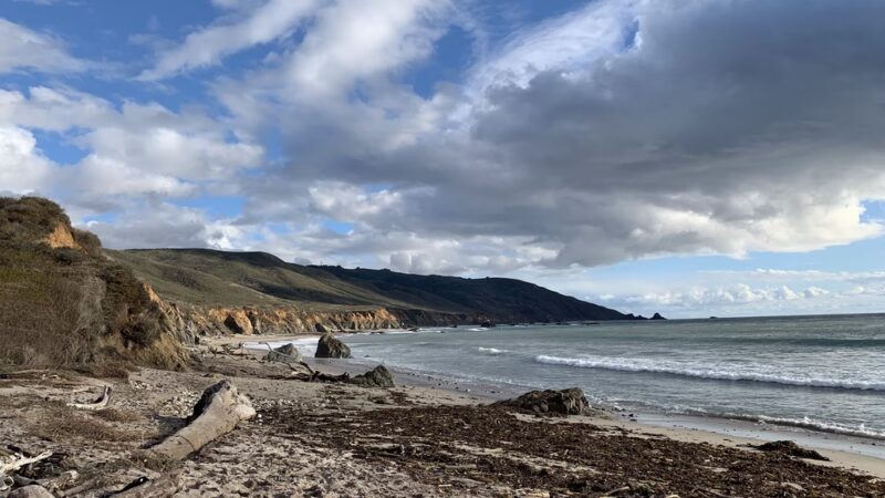 Andrew Molera State Park - Big Sur, CA