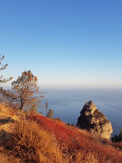 Buckeye Trailhead - Big Sur, CA