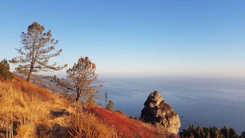 Buckeye Trailhead - Big Sur, CA