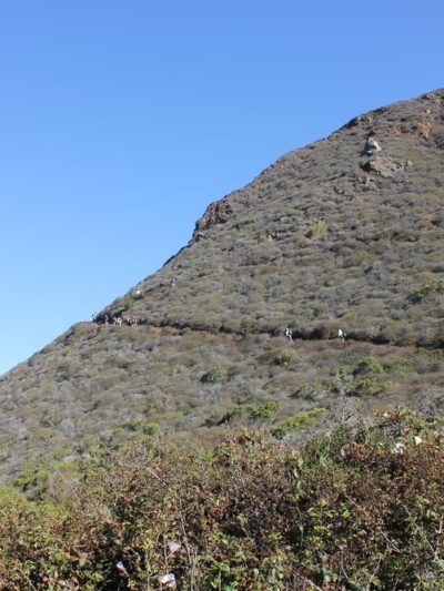 Buckeye Trailhead - Big Sur, CA