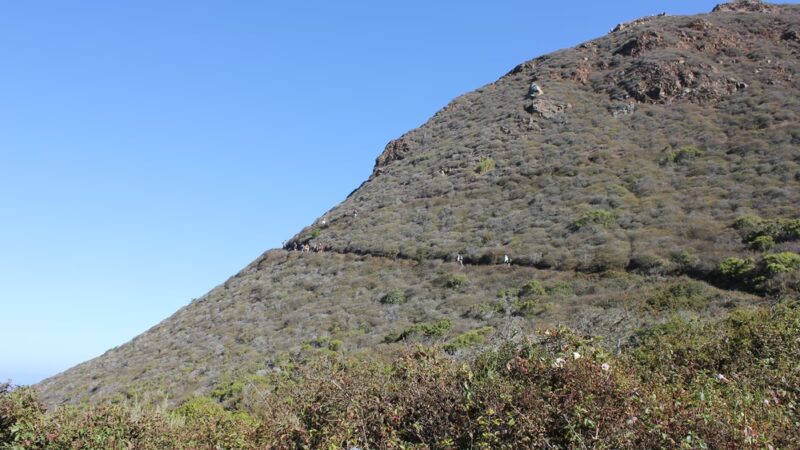 Buckeye Trailhead - Big Sur, CA