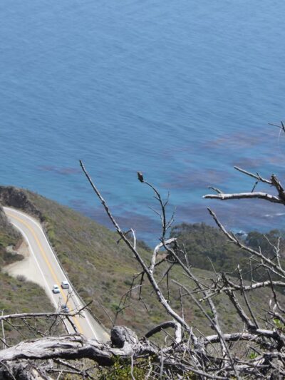 Buckeye Trailhead - Big Sur, CA