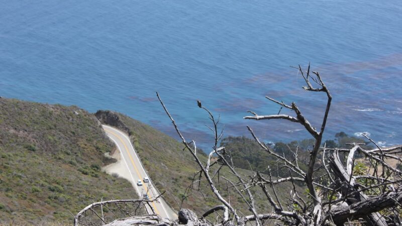 Buckeye Trailhead - Big Sur, CA
