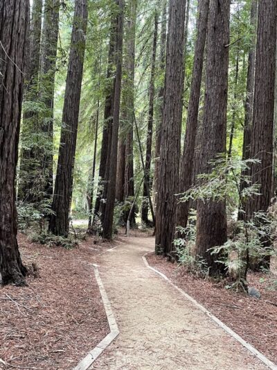 River Path Trailhead - Big Sur, CA