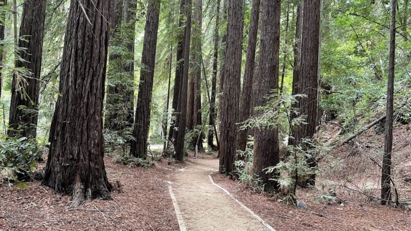 River Path Trailhead - Big Sur, CA