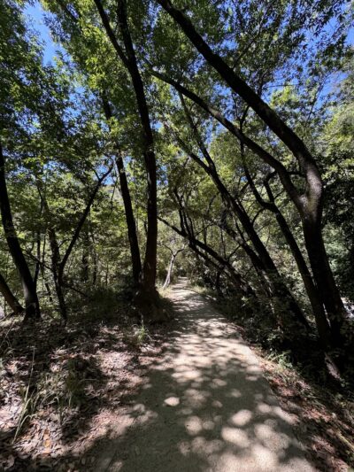 River Path Trailhead - Big Sur, CA