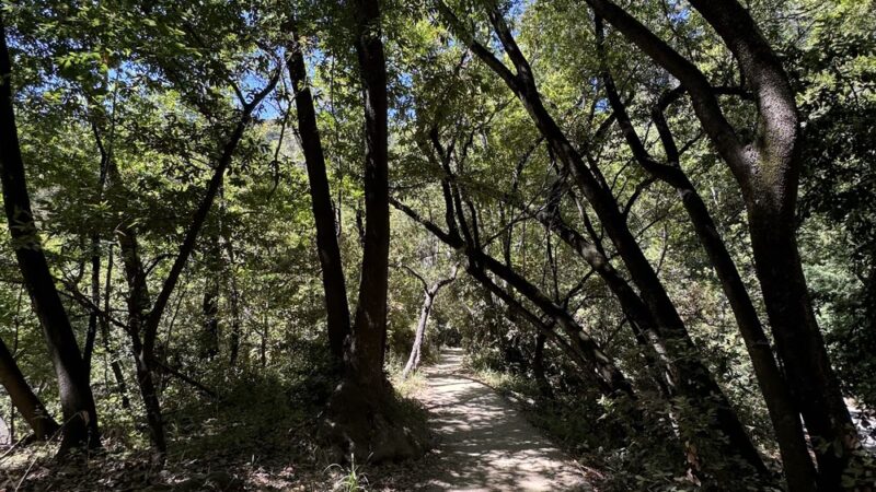River Path Trailhead - Big Sur, CA