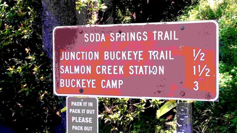 Soda Springs Trailhead - Big Sur, CA