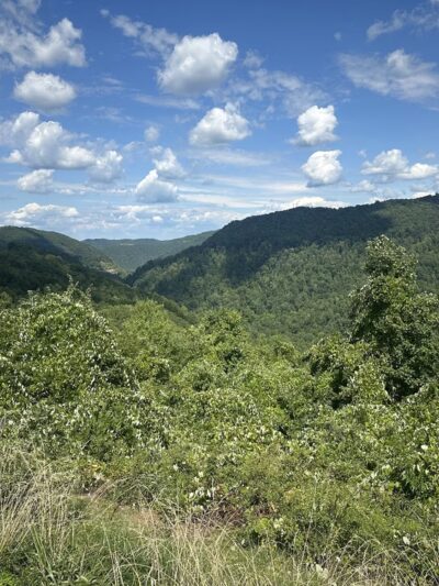 Young's Monument - Birch River, WV