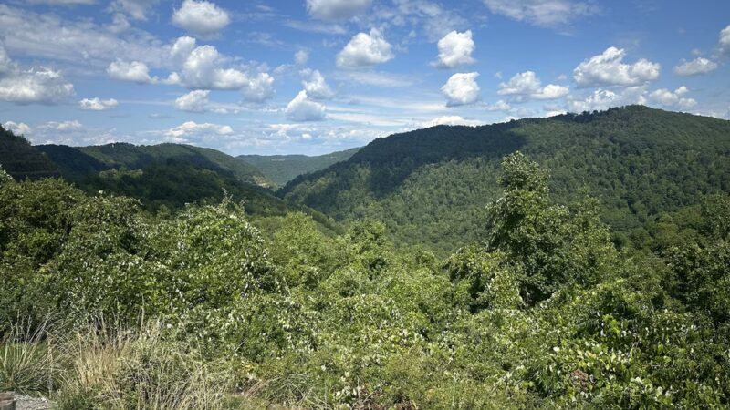 Young's Monument - Birch River, WV