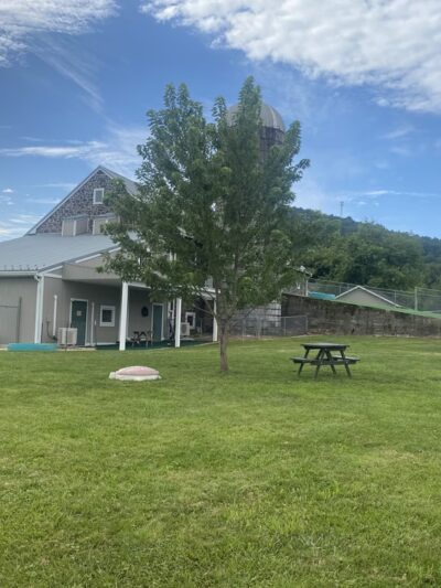 Ridgewood Canine Camp - Birdsboro, PA