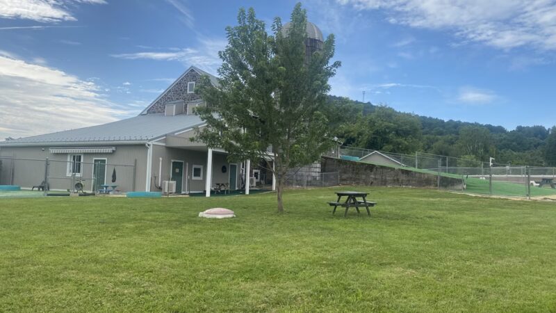 Ridgewood Canine Camp - Birdsboro, PA