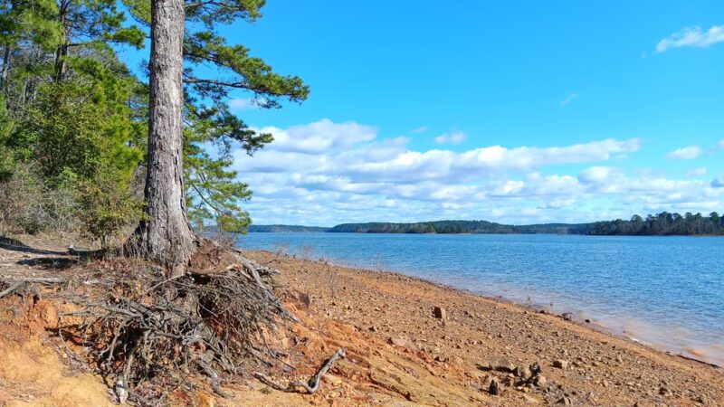 DeGray Lake Resort Island Trail - Bismarck, AR