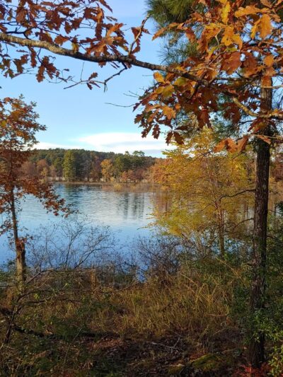 DeGray Lake Resort Island Trail - Bismarck, AR