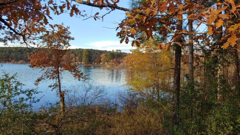 DeGray Lake Resort Island Trail - Bismarck, AR