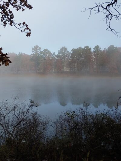 DeGray Lake Resort Island Trail - Bismarck, AR