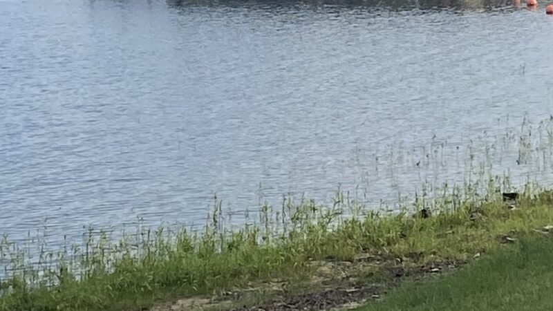 DeGray Trails - Bismarck, AR