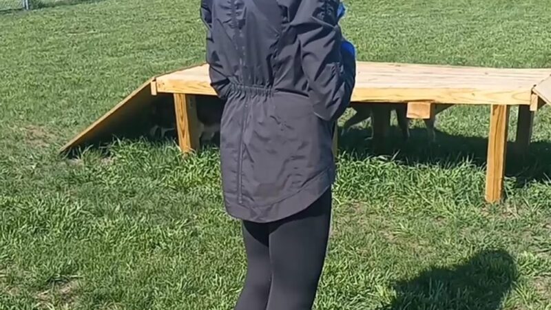 Lincoln Dog Park - Bismarck, ND