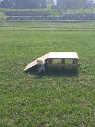 Lincoln Dog Park - Bismarck, ND