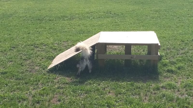 Lincoln Dog Park - Bismarck, ND