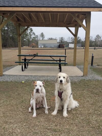 Dog Park - Black Creek, GA