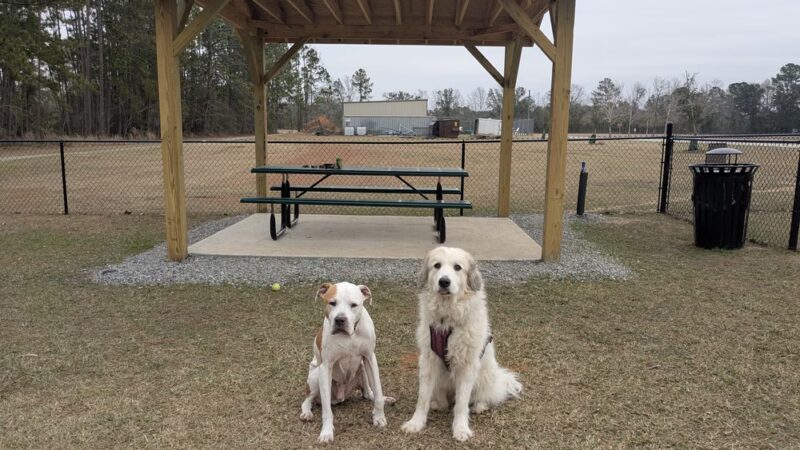Dog Park - Black Creek, GA
