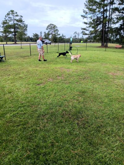 Dog Park - Black Creek, GA