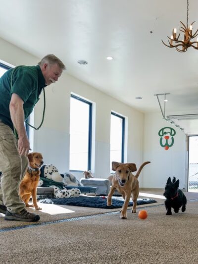 Woofers Pet Resort - Rapid City (Black Hawk) - Black Hawk, SD