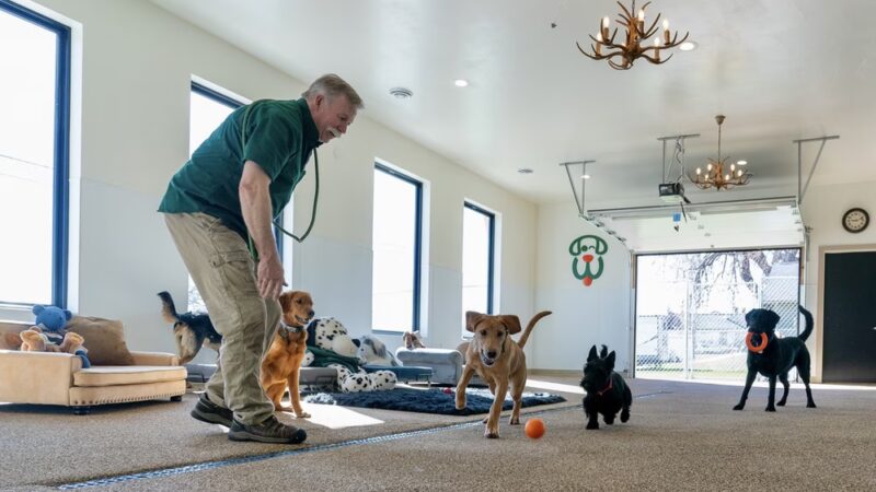 Woofers Pet Resort - Rapid City (Black Hawk) - Black Hawk, SD