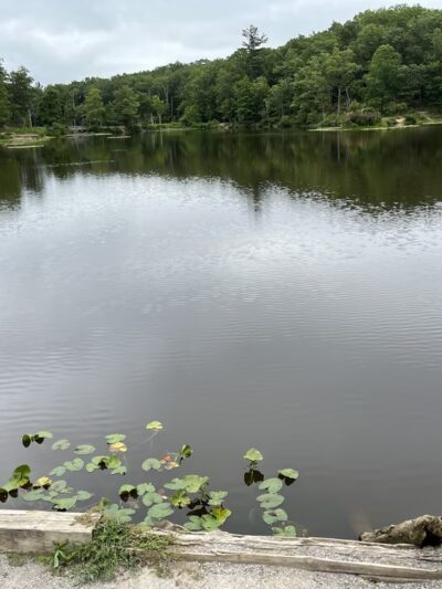 Pandapas Pond Day Use Area - Blacksburg, VA