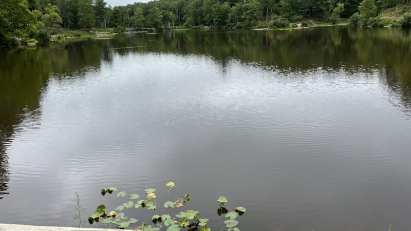 Pandapas Pond Day Use Area - Blacksburg, VA
