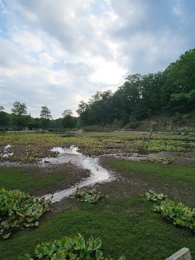 Pandapas Pond Day Use Area - Blacksburg, VA