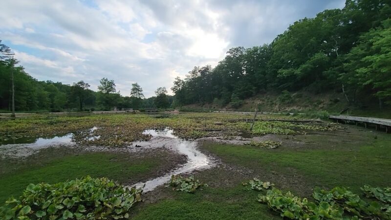 Pandapas Pond Day Use Area - Blacksburg, VA