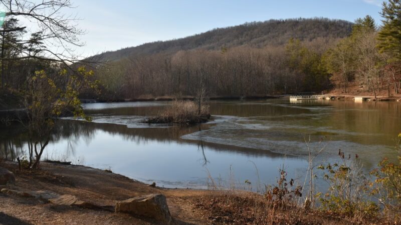 Pandapas Pond Day Use Area - Blacksburg, VA