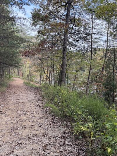 Pandapas Pond Day Use Area - Blacksburg, VA