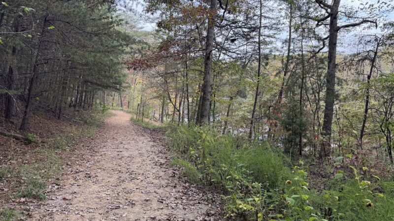 Pandapas Pond Day Use Area - Blacksburg, VA