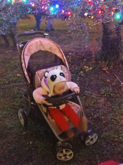 Seay Park - Blackstone, VA