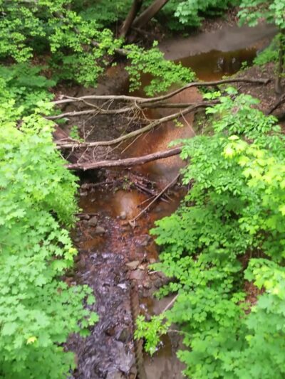 Blackwood Lake Park Nature Walking Trail - Blackwood, NJ