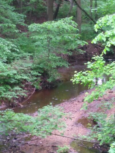 Blackwood Lake Park Nature Walking Trail - Blackwood, NJ
