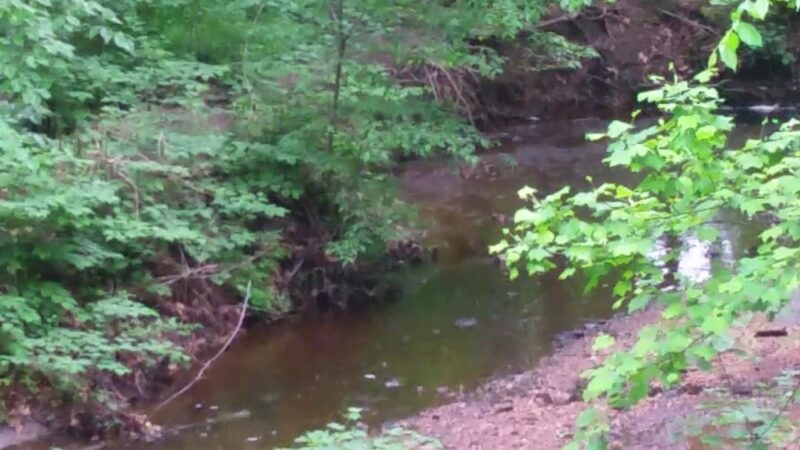 Blackwood Lake Park Nature Walking Trail - Blackwood, NJ
