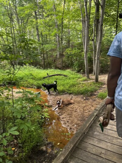 Timber Creek Pond - Blackwood, NJ
