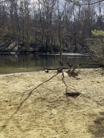 Timber Creek Pond - Blackwood, NJ