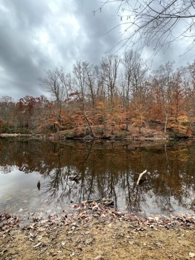 Timber Creek Pond - Blackwood, NJ